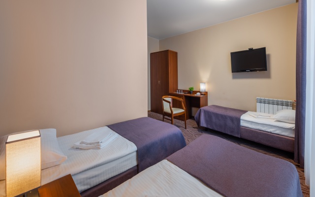 Трёхместный номер Эконом с видом на город — фото 1