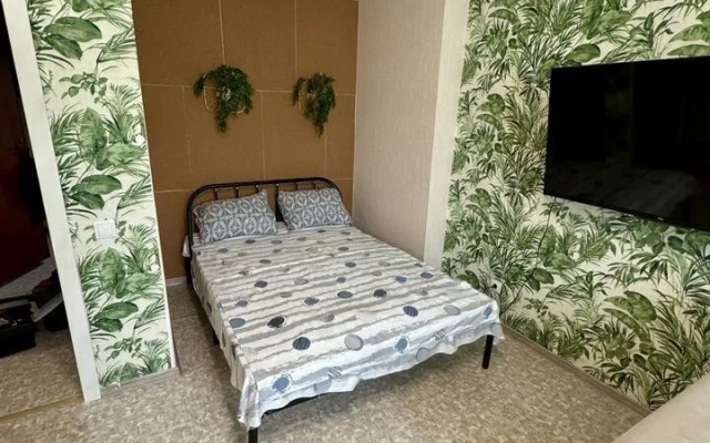 Квартира студия на Московском шоссе 53