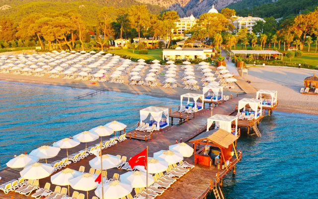 Juju Premier Palace 