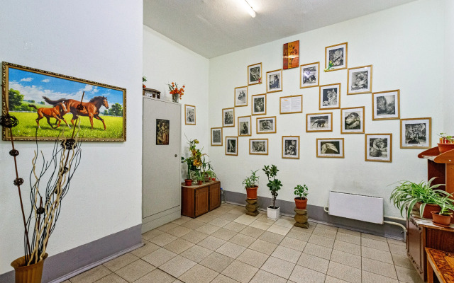 Lyuks Apartments