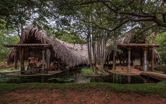 Banyan Camp