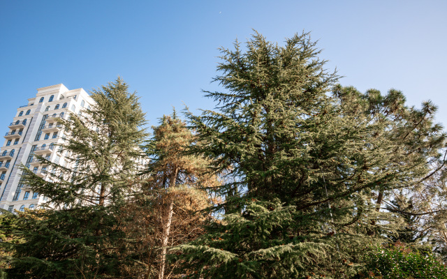 Апартаменты Место под солнцем 3