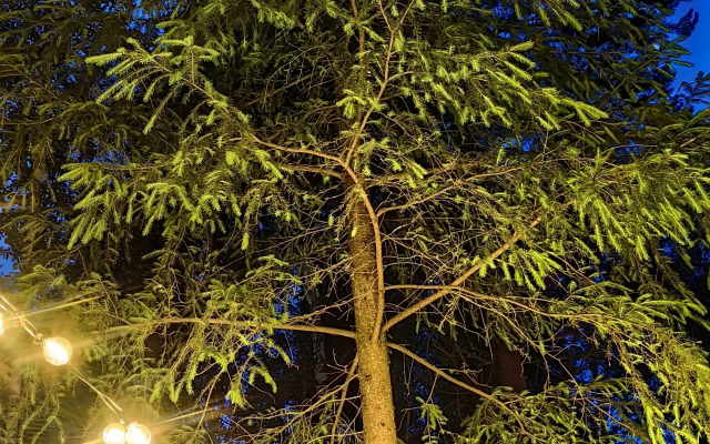 Частный дом LesnoyDomik