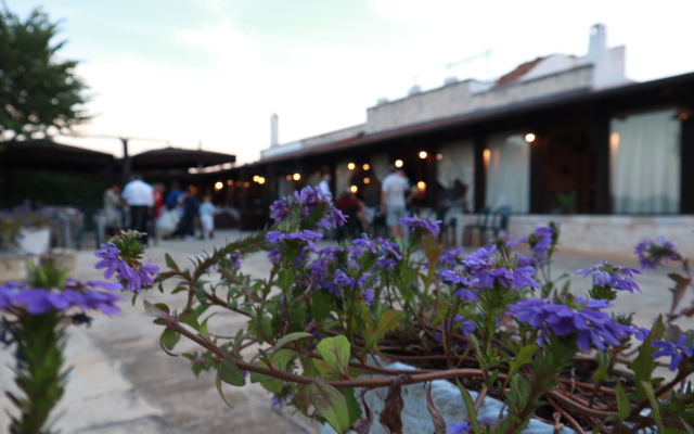 Agriturismo Masseria Alberotanza B&B and Restaurant BeBreakfast