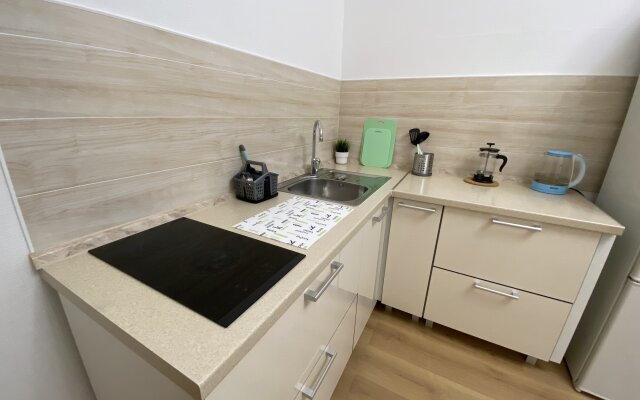 Апартаменты у Центра Петрова в Песочном