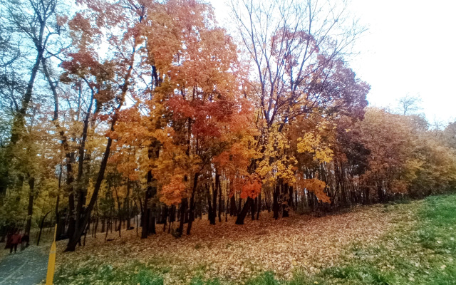 Апартаменты MyHomeUfa Lux на Шафиева