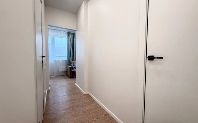 Апартаменты Делюкс с балконом Frukty Rent Однокомнатный