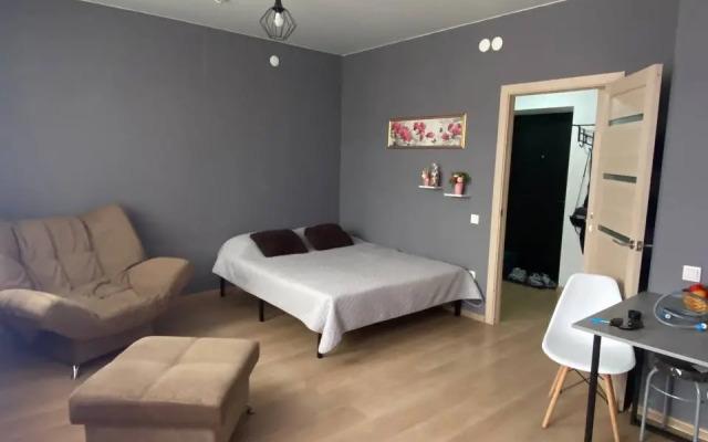 Studiya v tsentre goroda Flat