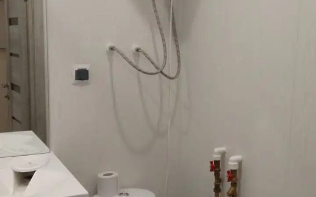 Апартаменты Roza house1