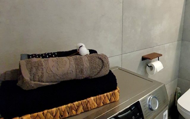 Квартира Greyhause