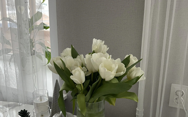 Квартира двухкомнатная в центре Костромы