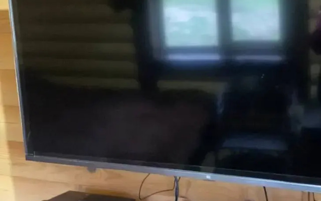 Recreation camp Sinegorye