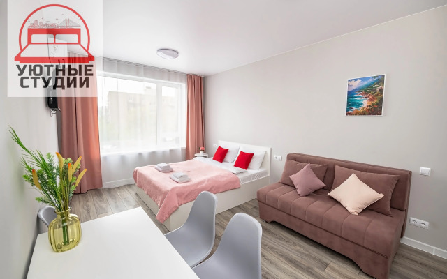 Уютная студия 1 на Стрелковой