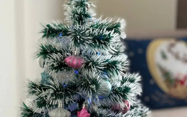 Квартира Kakao Brownie