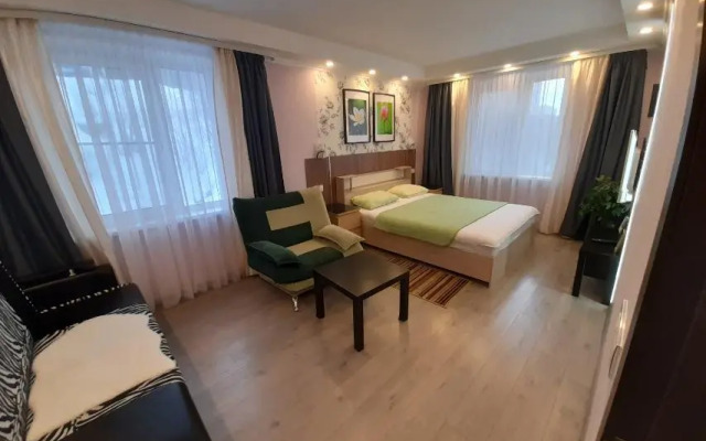 Апартаменты с 1 комнатой недалеко от проспекта Ленина (КВАРТИРА51)