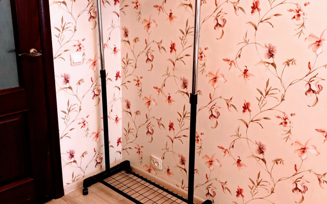 Na Peschehodnoy Ulize Shkatulochka Flat