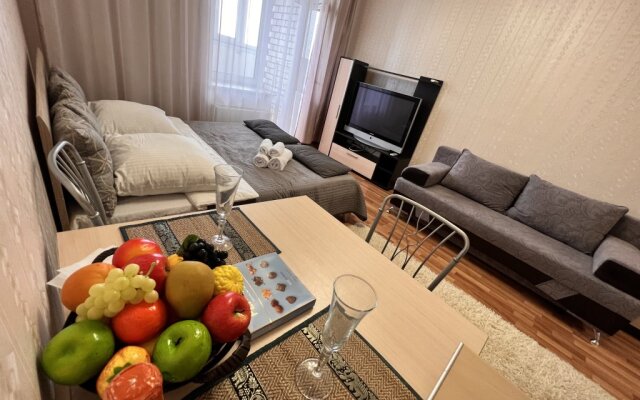 Tsentr Studiya Voyage Komfort Apartments