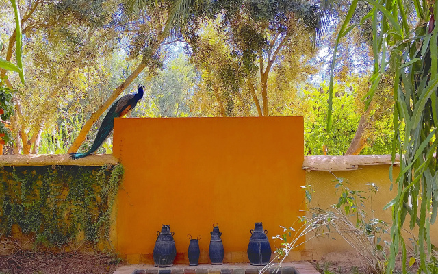 Отель Dar Al Hossoun