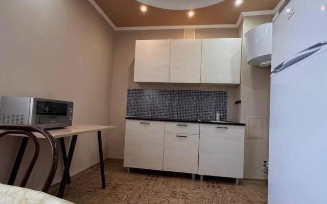 Na Lenina 213 Flat