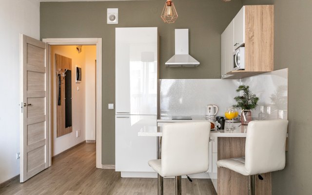 Апартаменты Студия на Московской