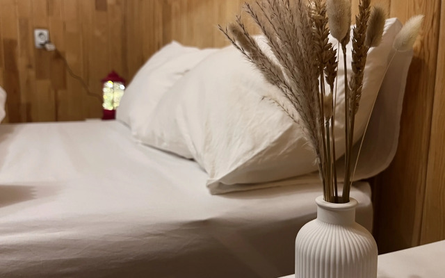 Частный дом на Гагарина 6