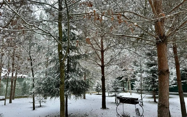 Premialny Semeyny Dom V Sosnovom Lesu Private house