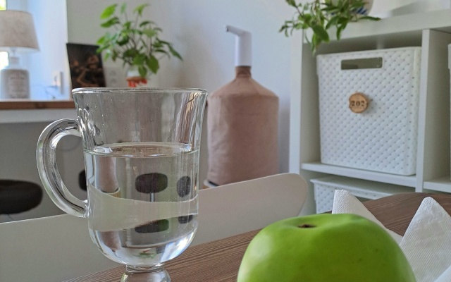 Мини-отель Loparochka