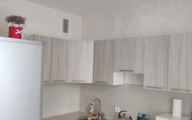 Na ulitse Rogozhnikova 17 Flat