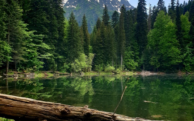 Апартаменты Санчаро