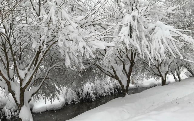 Частный дом в Заветах Ильича с розовой гостиной