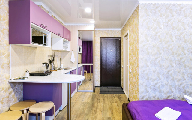 Апартаменты Hanaka на Пионерской 21Б №24