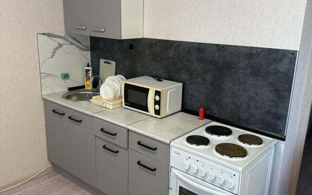 Vyezd V Gorod Flat