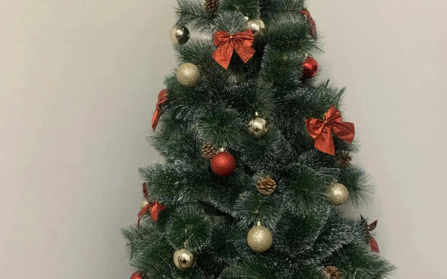 Квартира на Десятинной у Кремля