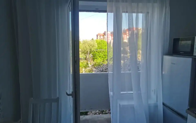 Апартаменты 1к. в Светлогорске