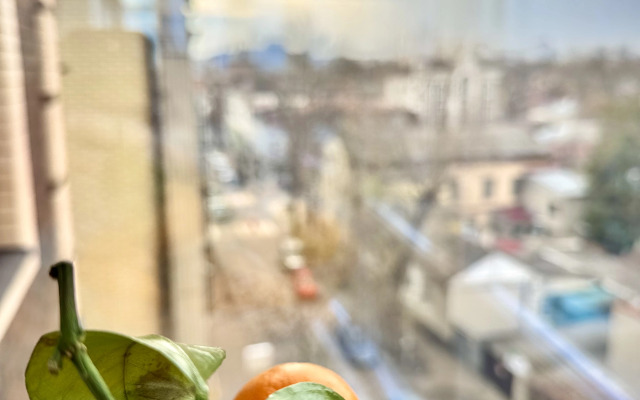 Квартира Двухкомнатный Люкс у Парка в Центре