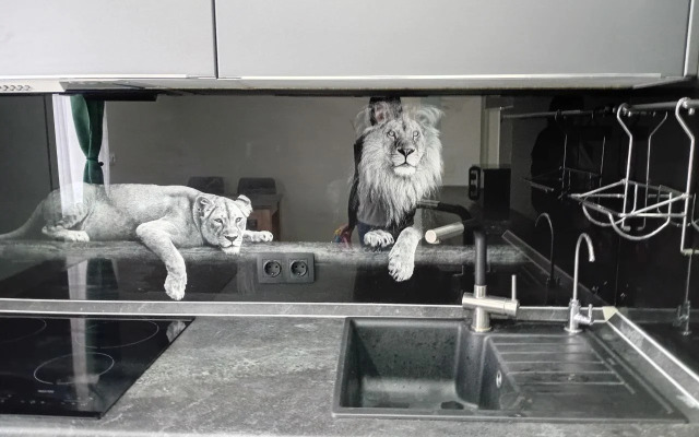 Квартира возле парка и стадиона