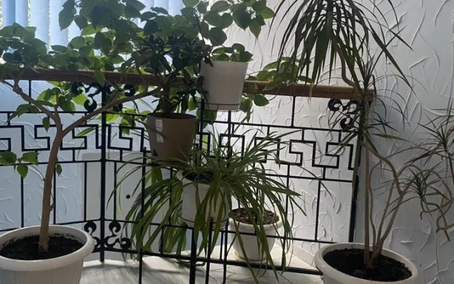 Апартаменты на Театральной 26 в Керчи