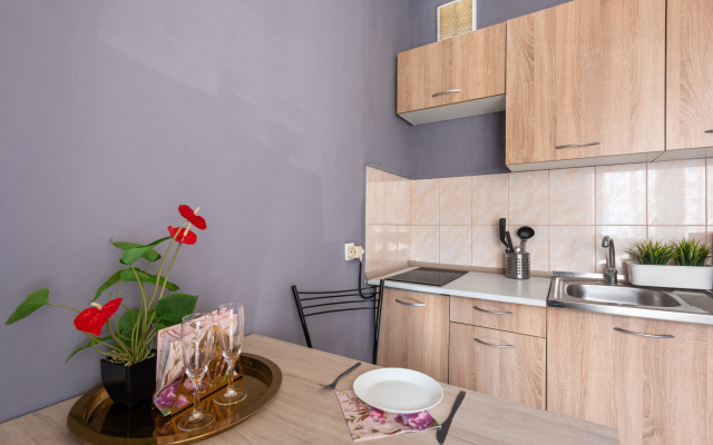 Апартаменты Кастанаевская 45к1