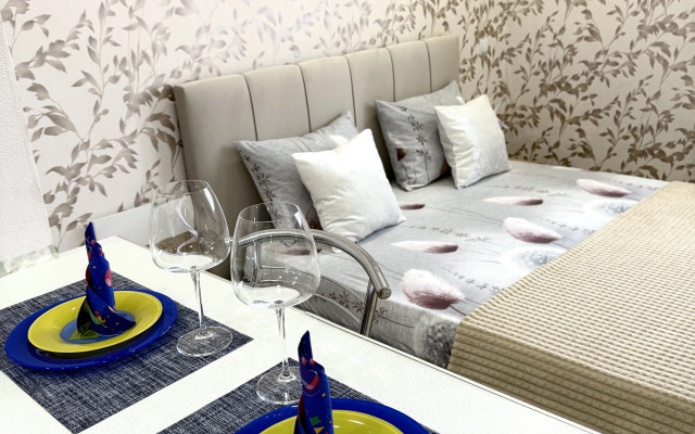 Evro Studiya v Rayone Parka Galitskogo Apartments
