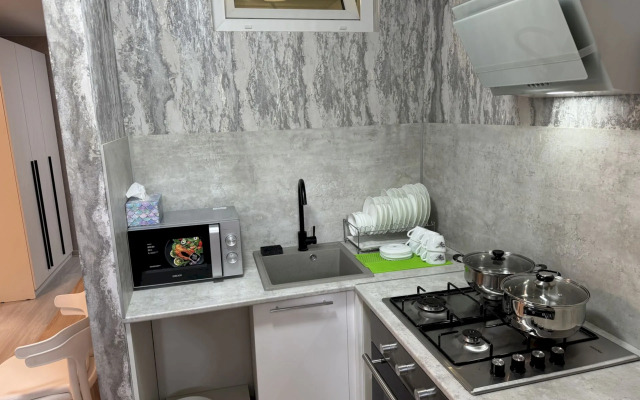 430 v tsentre 5 min do morya Flat