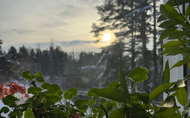 Дом у сосен