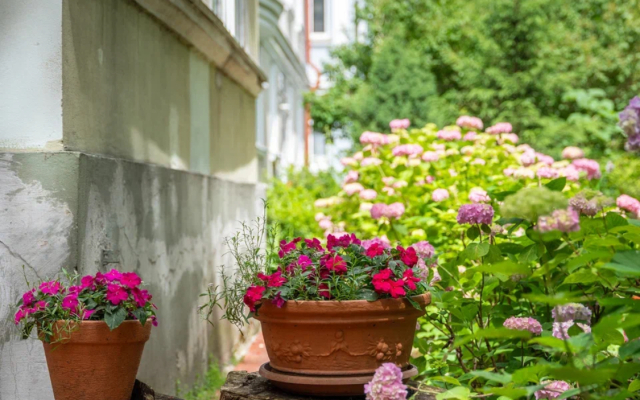 Квартира на Красной Калининград