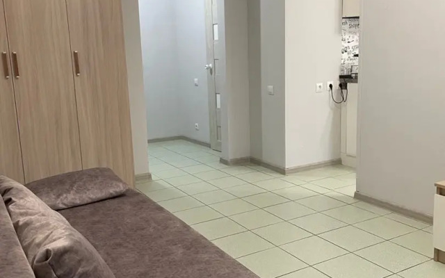 Апартаменты Рябикова 36/5