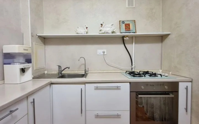 Na Lva Tolstogo Flat
