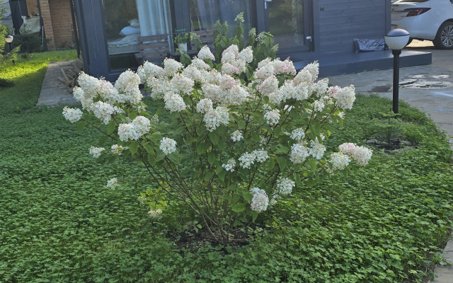 Частный дом Проснуться в лесу