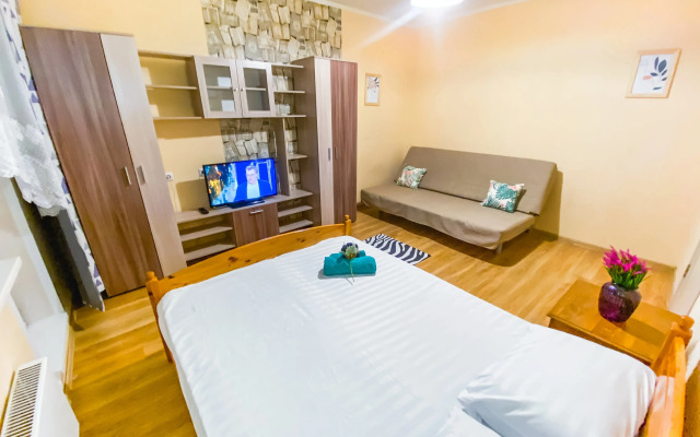 Uyutnaya Kvartira Vozle Sheremetyevo Apartments