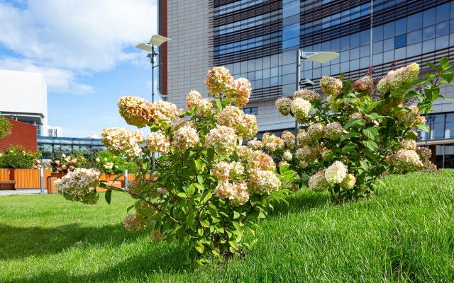Hyatt Regency Ekaterinburg