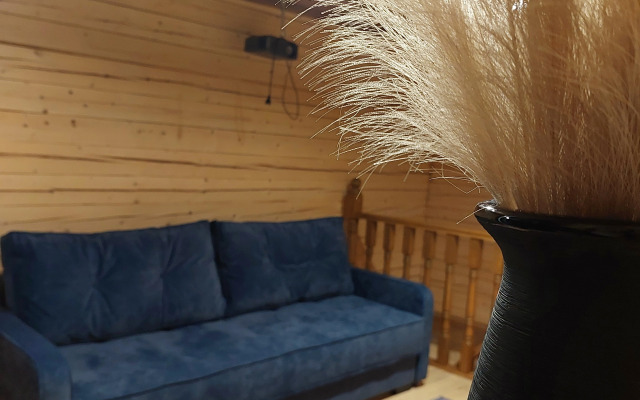 Частный дом Karpov House