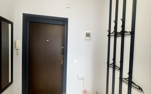 Yuzhny Vokzal Apartments