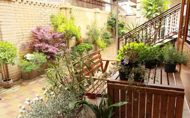 Alyans Guest House